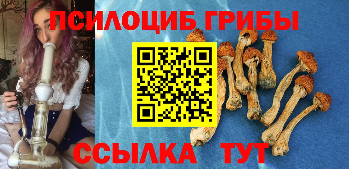 Псилоцибиновые грибы Magic Shrooms  Вход с VPN  Архангельск 